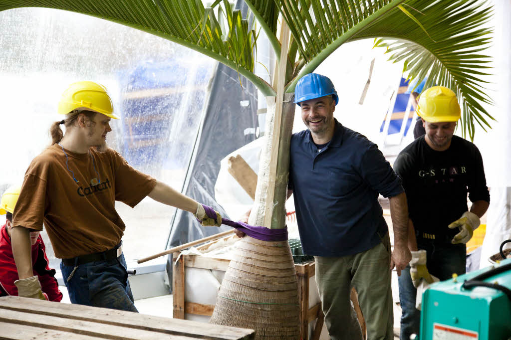 Im Badeparadieses Schwarzwald legen die Handwerker letzte Hand an.