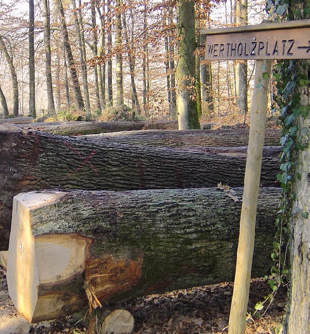 Das Holz aus dem Gemeindewald bleibt gefragt.   | Foto: Forstamt