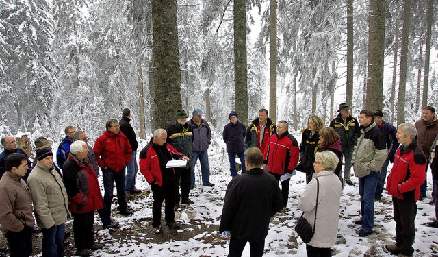 Unter 170 Jahre alten Fichten informierten Forstleute den Todtnauer Gemeinderat  | Foto: Hermann Jacob