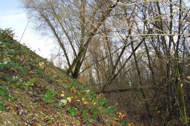 Die BUND-Mitglieder sorgen sich  um di...resse strker geahndet werden msste.   | Foto: Heinz Vollmar