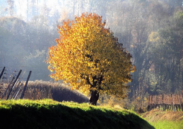 Impressionen aus der Umgebung von Endi...211; ein Motiv aus dem BUND-Kalender.   | Foto: Axel Mayer