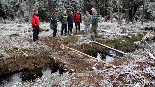Forst- und Umweltexperten informierten...g des Harzmoos- Moores bei St. Peter.   | Foto: Andreas Peikert