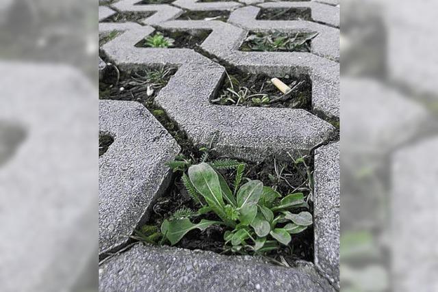 Je mehr Regenwasser versickert, desto gnstiger