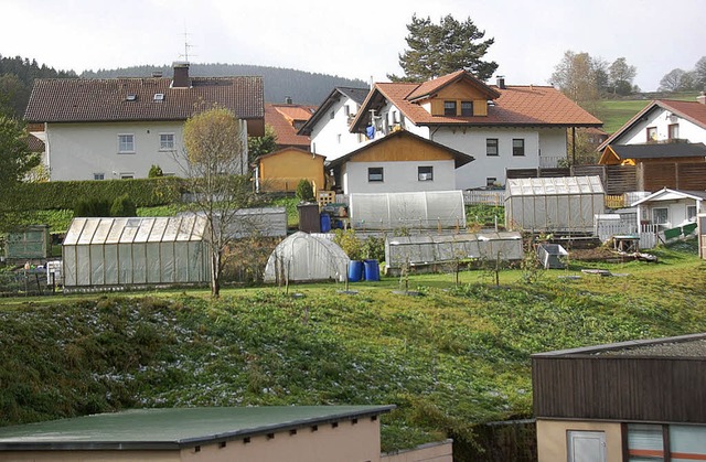 Wildwuchs in Unterlenzkirch  | Foto: RAlf MOrys