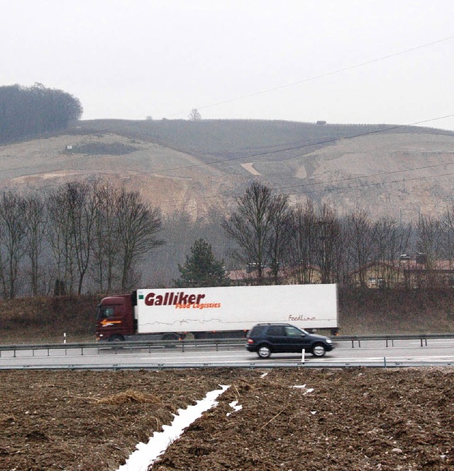 Lkw-Parkpltze an der A5 werden gebrau...llerdings nicht bei ihrem Ort haben.    | Foto: Langelott