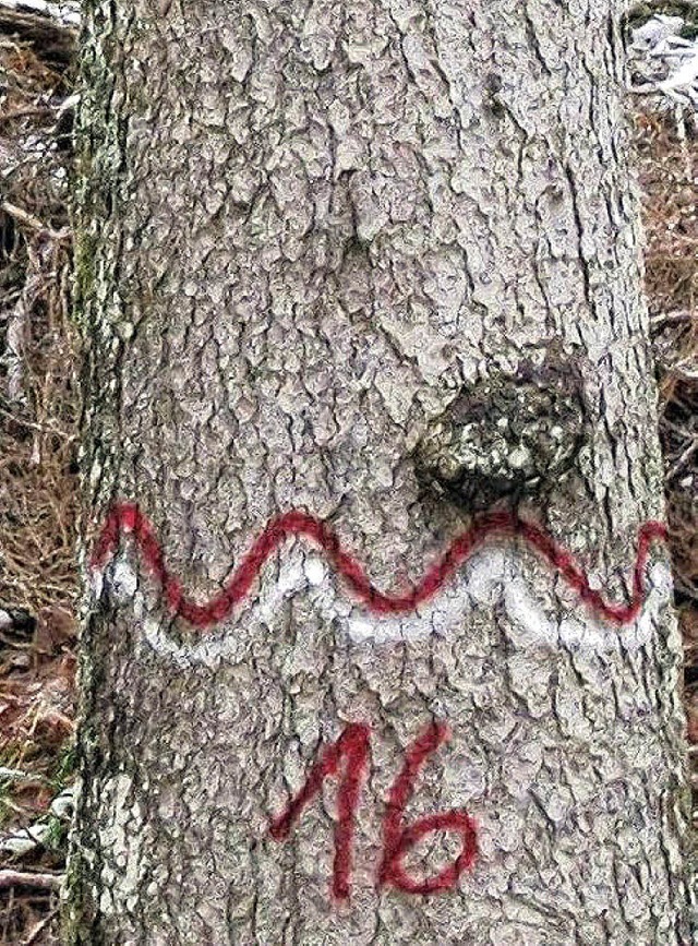 Habitat-Baum im Todtnauer Wald: Er ist...nd kann per GPS genau geortet werden.   | Foto: Privat