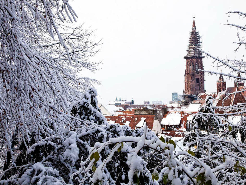 Der erste Schnee in Freiburg