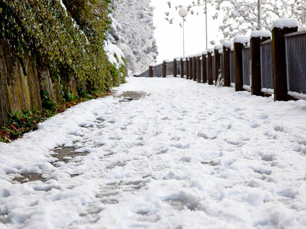 Der erste Schnee in Freiburg