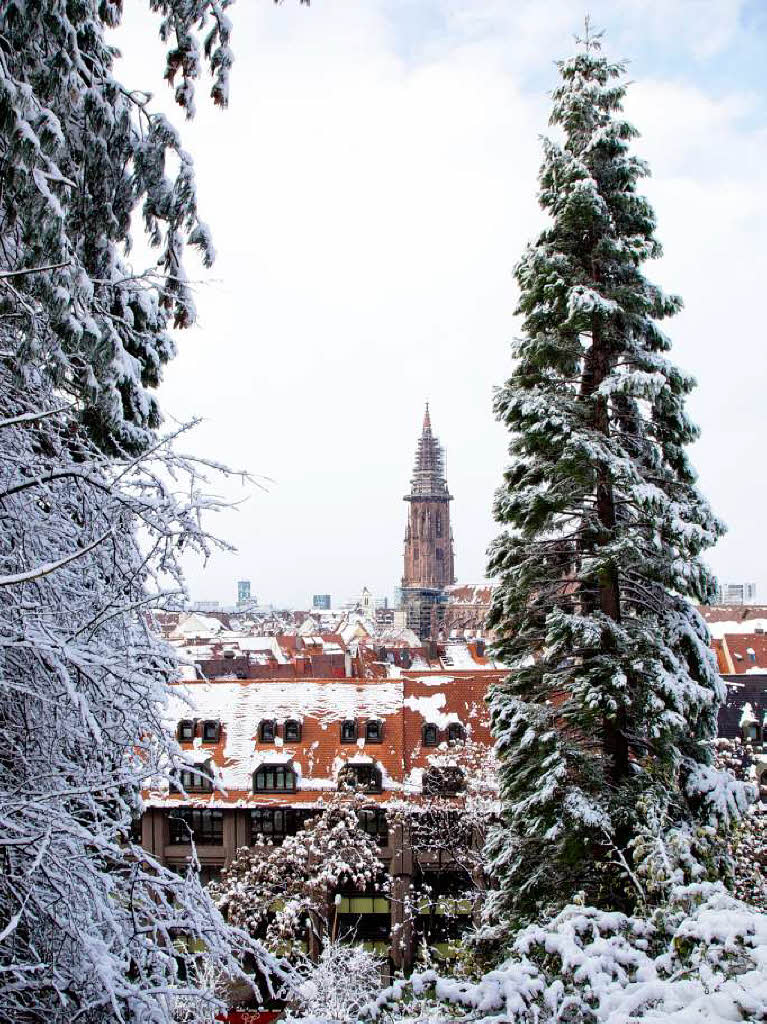 Der erste Schnee in Freiburg