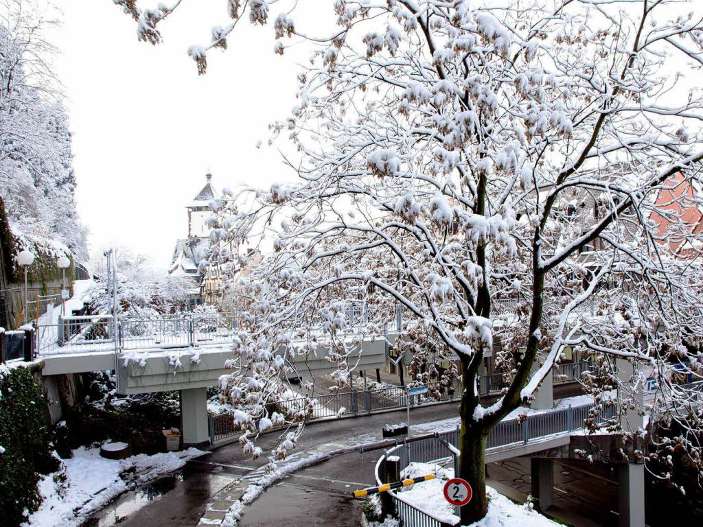 Der erste Schnee in Freiburg