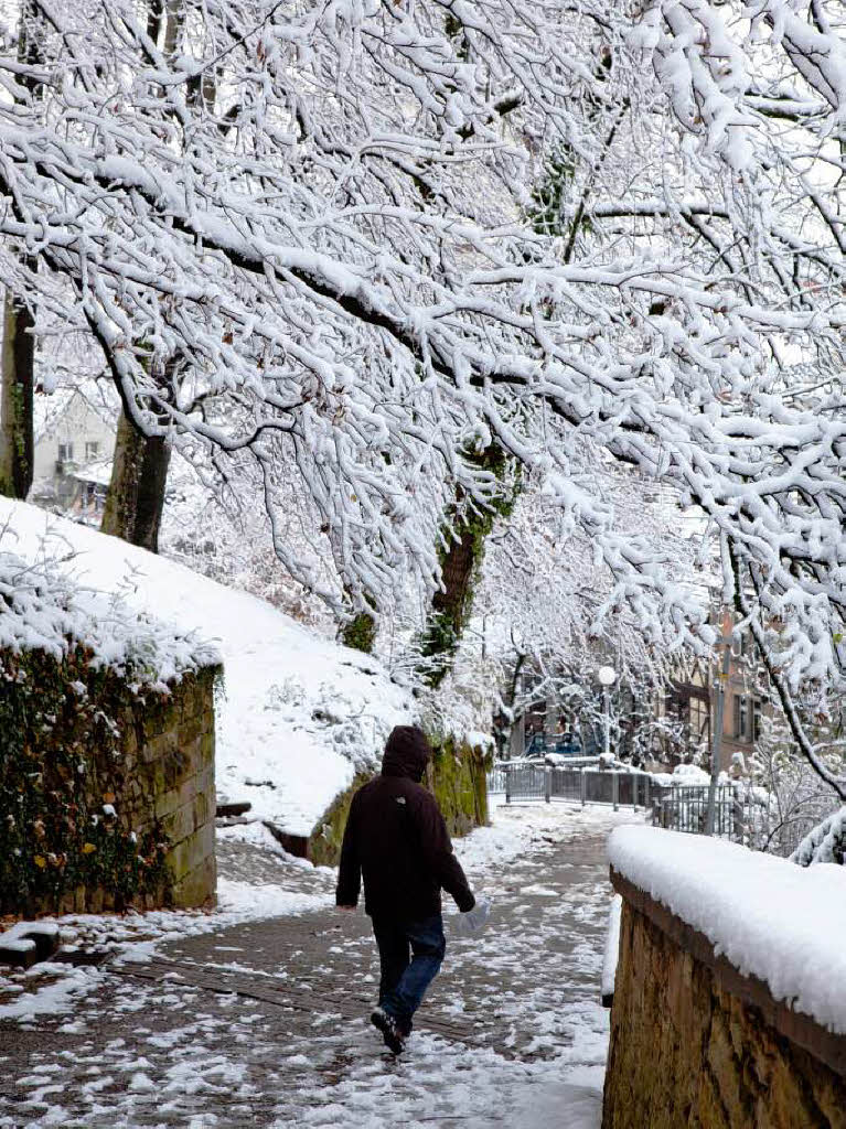 Der erste Schnee in Freiburg