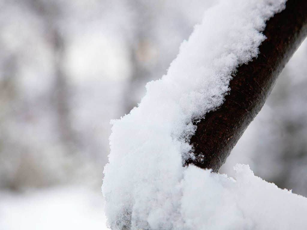 Der erste Schnee in Freiburg