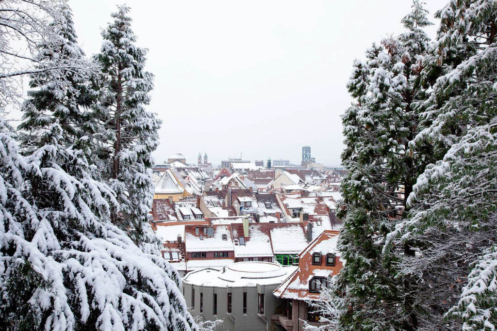 Der erste Schnee in Freiburg