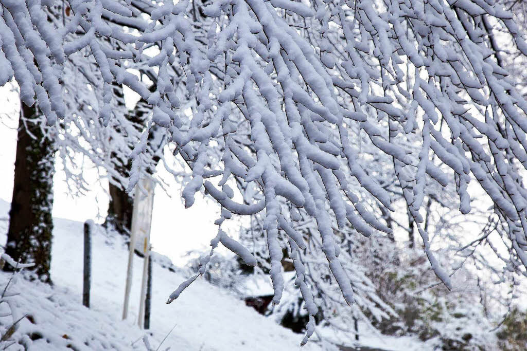 Der erste Schnee in Freiburg