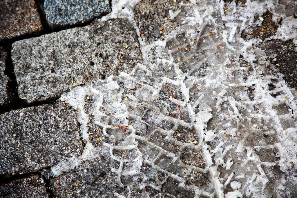 Der erste Schnee in Freiburg