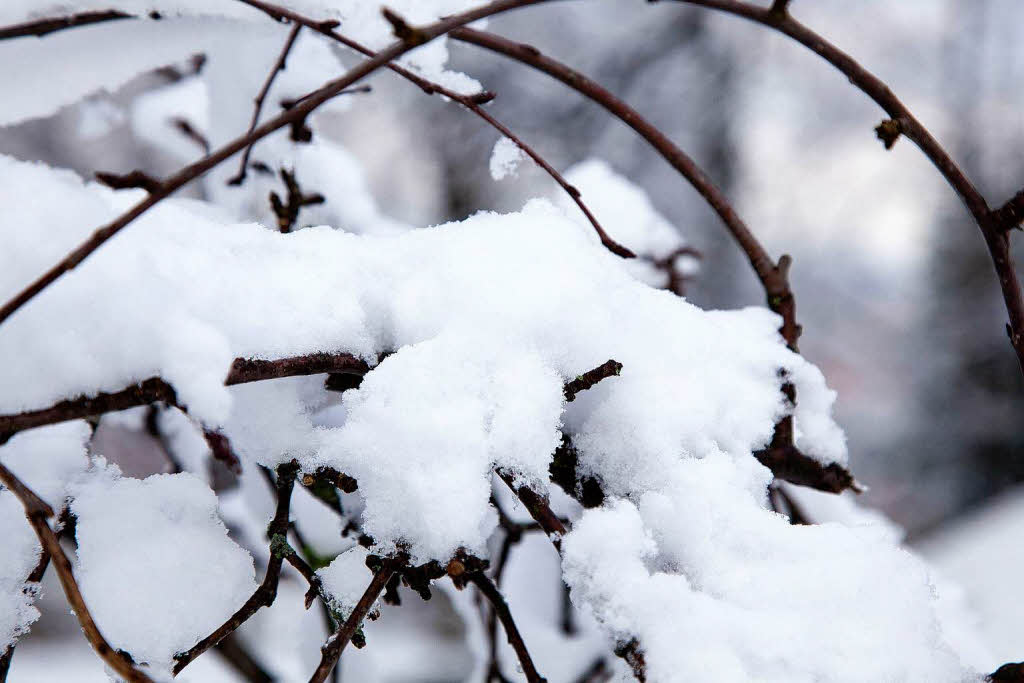 Der erste Schnee in Freiburg