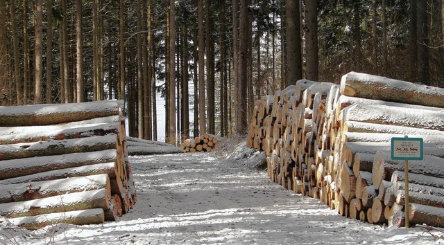 Der Wald wirft satte Gewinne ab: Die p... Holzmarkt lie die Preise ansteigen.   | Foto: Christa Maier