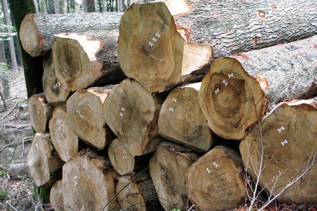 Wald wirft Gewinn ab