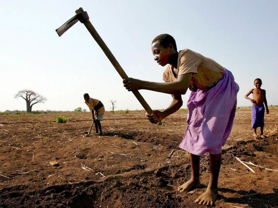 Bauern in Afrika leiden unter billig e...s der Europäischen Union (Symbolbild).  | Foto: dpa
