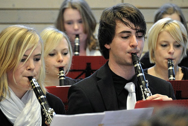 Das Verbandsjugendorchester umrahmte die Verleihung musikalisch.  | Foto: Daniel Gramespacher