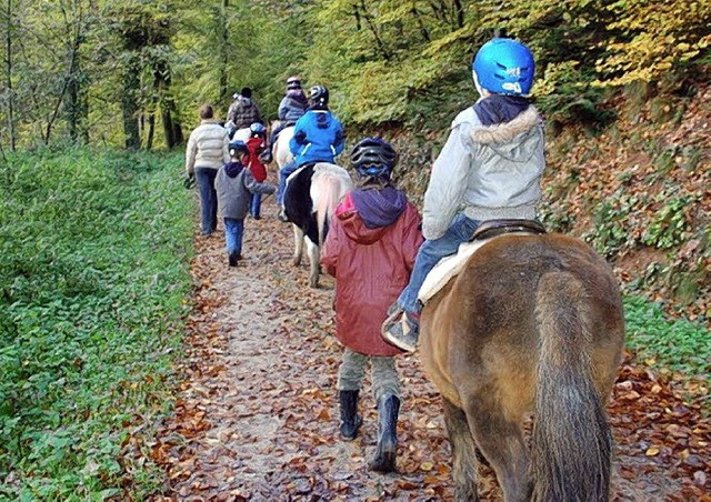 Mit Pony und Fahrradhelm geht&#8217;s durch den Wald.   | Foto: Privat