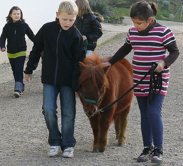 Spazieren gehen mit den Ponys an der Leine.   | Foto: Privat