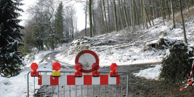 Kahlgeschlagene Flche im Hertener Wald   | Foto: Heinz Vollmar