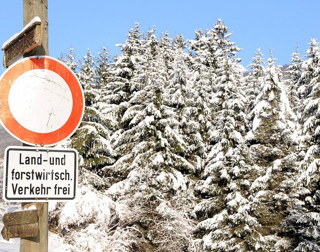 So manchen Tannen und Fichten im Stein...auch das schnste Winterkleid nichts.   | Foto: Robert bergmann