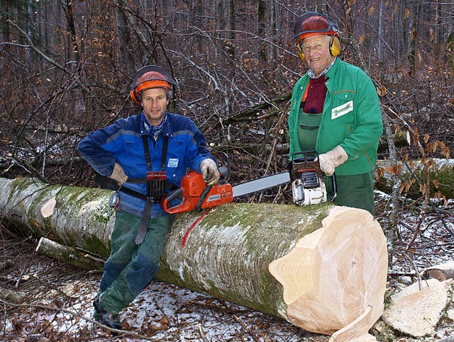 Holzeinschlag in Hauingen   | Foto: Archiv: Paul Schleer