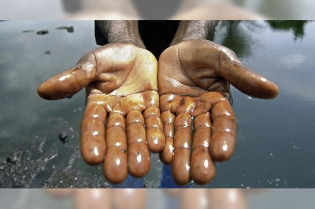 Öl-Förderung in Nigeria: Verschmierte Heimat