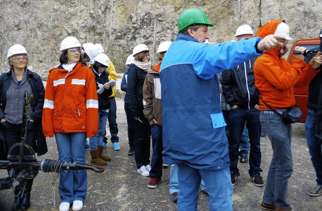 Geologen des Lise-Meitner-Gymnasiums  auf Exkursion   | Foto: Privat