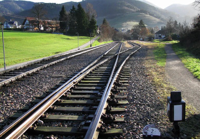 Nicht alle Mnstertler sehen die Weic... des Bahnhofsareals richtig gestellt.   | Foto: m. lange