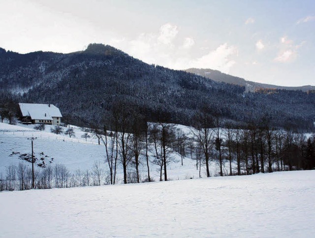 Im Simonswldertal zwischen Ibendrfle...rnbhl und den Winterbauernhof (links)  | Foto:  karin Heiss