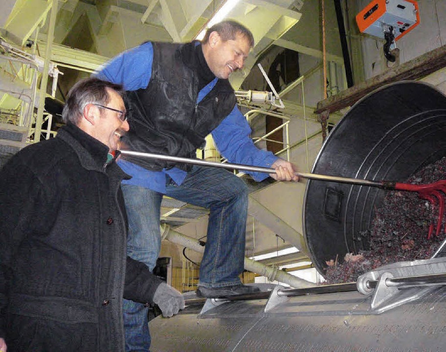 Josef Mutter, Vorstand der WG Ringshei...n die Traubenpresse eingerakelt wird.   | Foto: privat