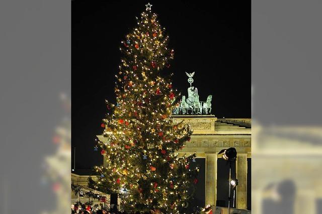 Der Baum, das Sinnbild fr Leben und Erkenntnis