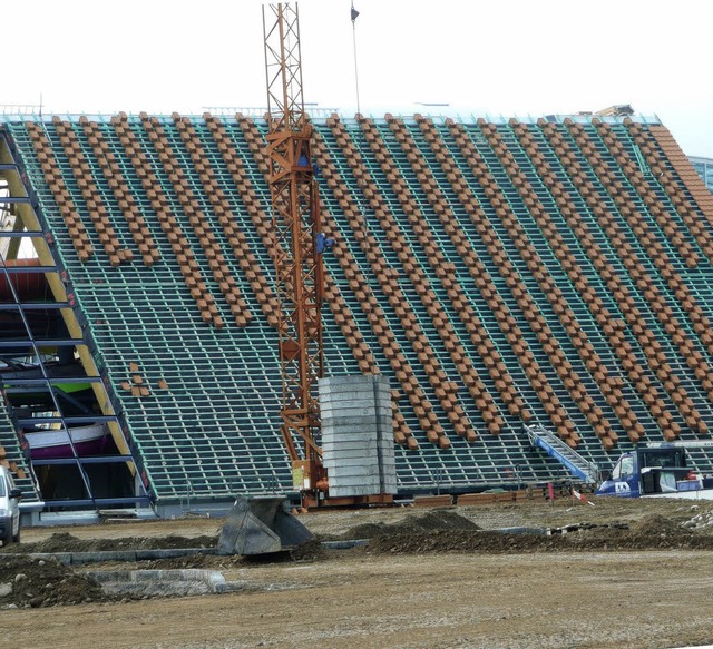 Dem heimischen Handwerk hat das Groprojekt viele Auftrge beschert.    | Foto: Stellmach