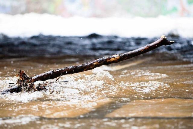 Fotos: Tauwetter lsst Dreisam ber die Ufer treten