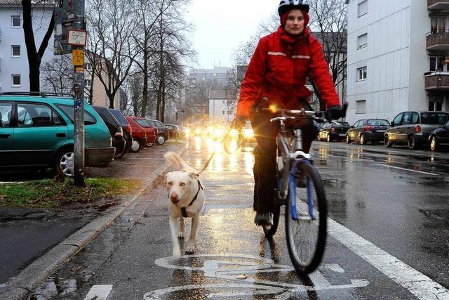 Studie: Viele Freiburger Radwege sind veraltet