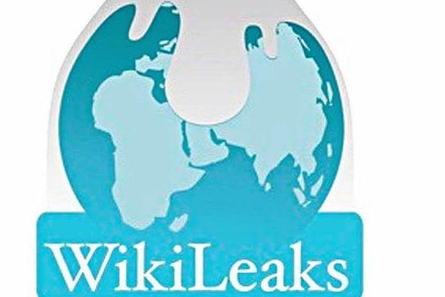 Wikileaks: Warum gehört einem Freiburger die deutsche Domain?