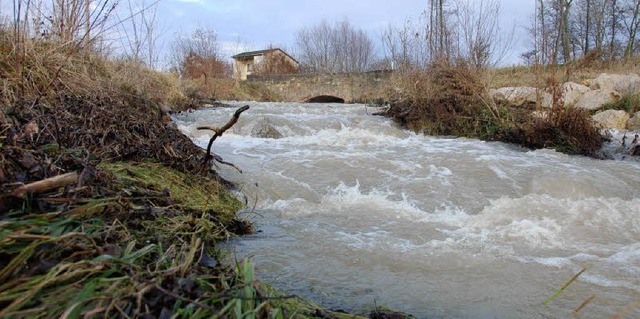 Im Feuerbach unterhalb der Britsche wu...h sdlich von Wintersweiler erhalten.   | Foto: Frey