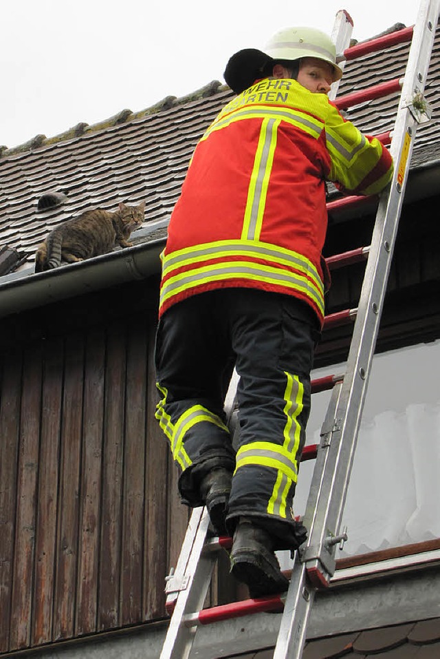 Die Rettung einer Katze und der Wasser...hftigte die Kirchzartener Feuerwehr.   | Foto: FFK