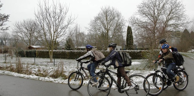 Dieser Fu- und Radweg fhrt an den Gartenhuschen nahe des Baldungwegs vorbei.  | Foto: Peter Gerigk