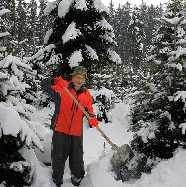 Der viele Schnee sorgte fr zustzlich...it bei der Ernte des Weihnachtsbaums.   | Foto: Gerd Sutter