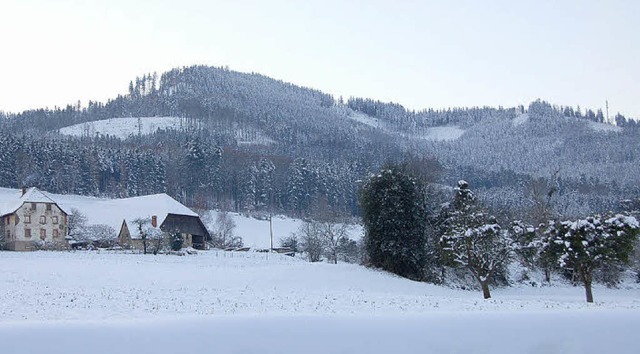 Die Schneeflchen am Hrnleberg zeigen...ss, mit der in Winden begonnen wurde.   | Foto: Elfriede Mosmann