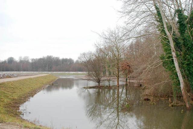 Louis sieht das Land in der Pflicht