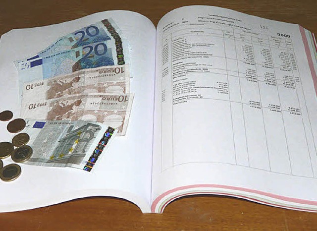385 Seiten dick ist der Haushaltsplan 2011.   | Foto: R. Beschorner