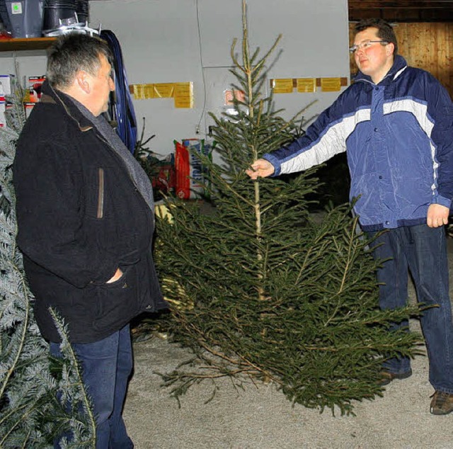 Christbaumverkauf im Lagerhaus Ewattin...s Auge auf Gre und Wuchs der Bume.   | Foto: jul