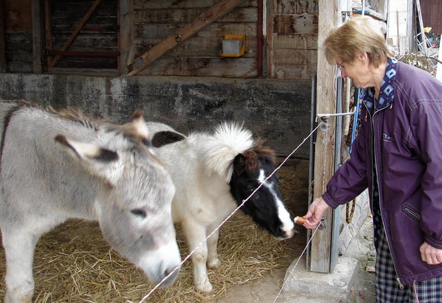 Auf dem Hof der Familie Zepf  hat Nemo...i fhlt sich das Pony sichtlich wohl.   | Foto: Christa Maier