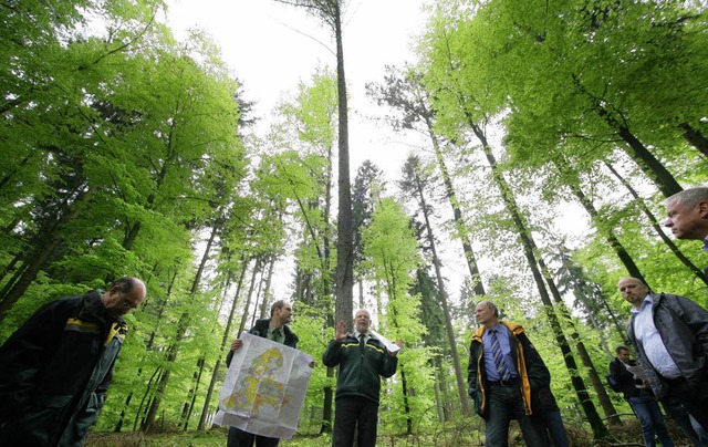 Der Friesenheimer Gemeindewald hat weiterhin Zuschussbedarf.   | Foto: Archiv: Bastian Henning