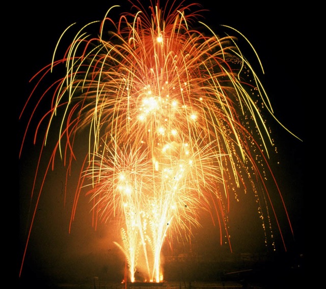 Ein faszinierendes Feuerwerk versprich...Bad Sckingen fr die Silvesternacht.   | Foto: bz